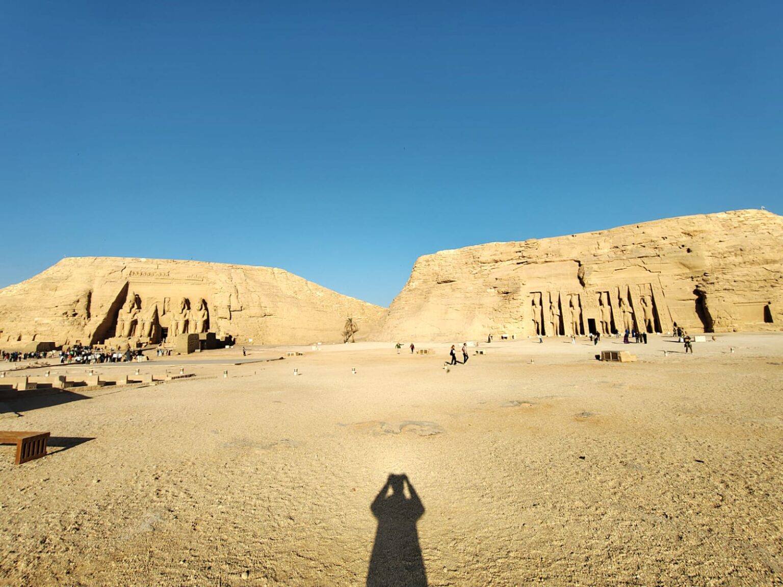 Guided Tours