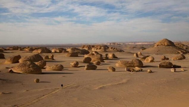 wadi-al-hitan-whale-valley