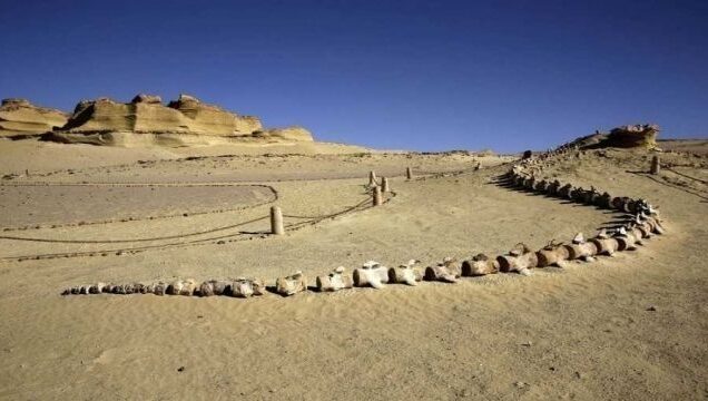 wadi-al-hitan-whale-valley