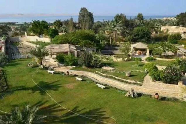 Fayoum-Oasis