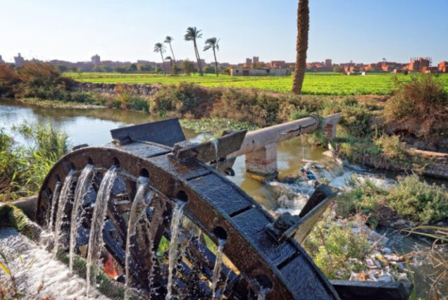 fayoum oasis