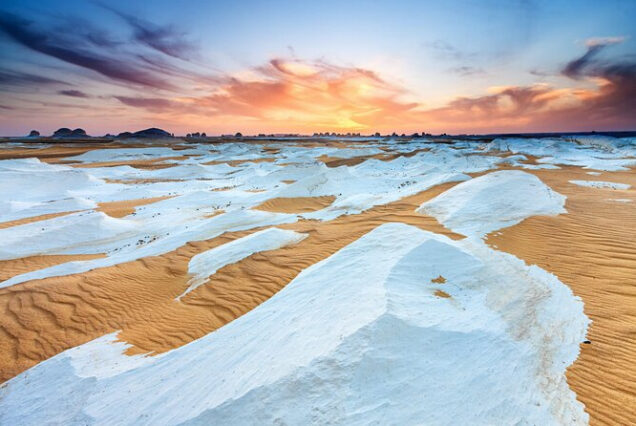white-dessert-safari-