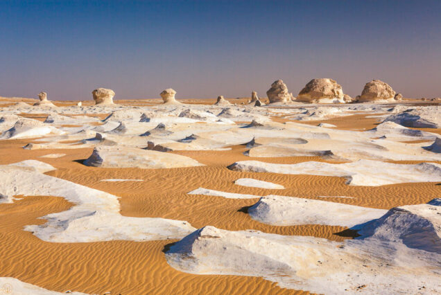 white-dessert-safari-