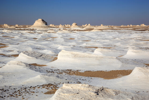 white-dessert-safari-