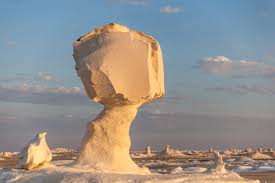 white-dessert-safari-